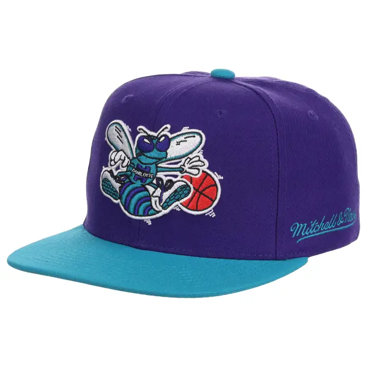 Charlotte Hornets NBA MN Basic Fitted violet/vert d'eau/vert HWC