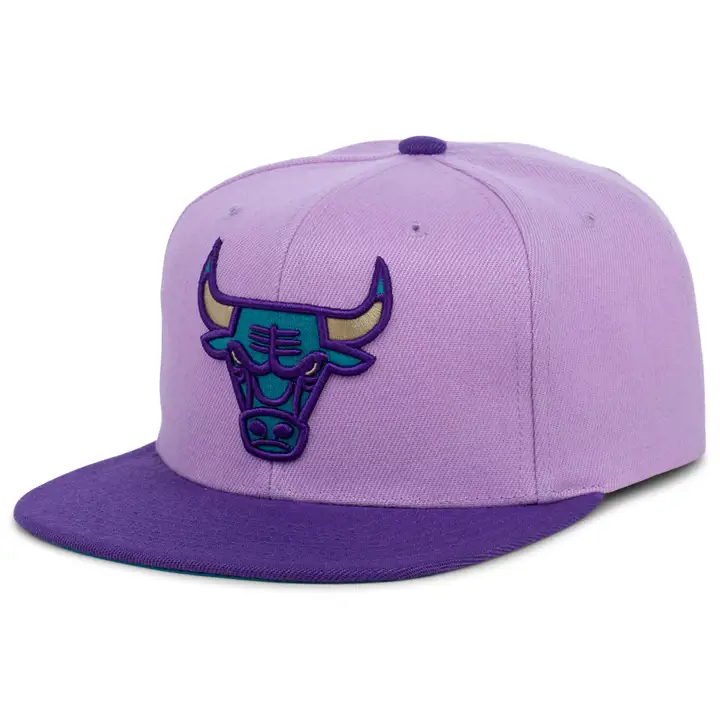 Chicago Bulls NBA Vues violettes Casquette snapback vio/pur/turquoise