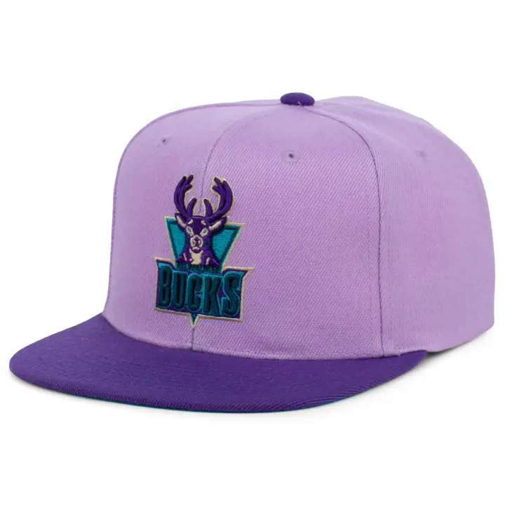 Casquette snapback NBA Milwaukee Bucks Violet Views vio/pur/turquoise HWC
