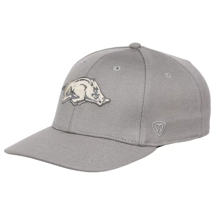 Casquette vintage souple Arkansas Razorbacks NCAA lgry/ivo