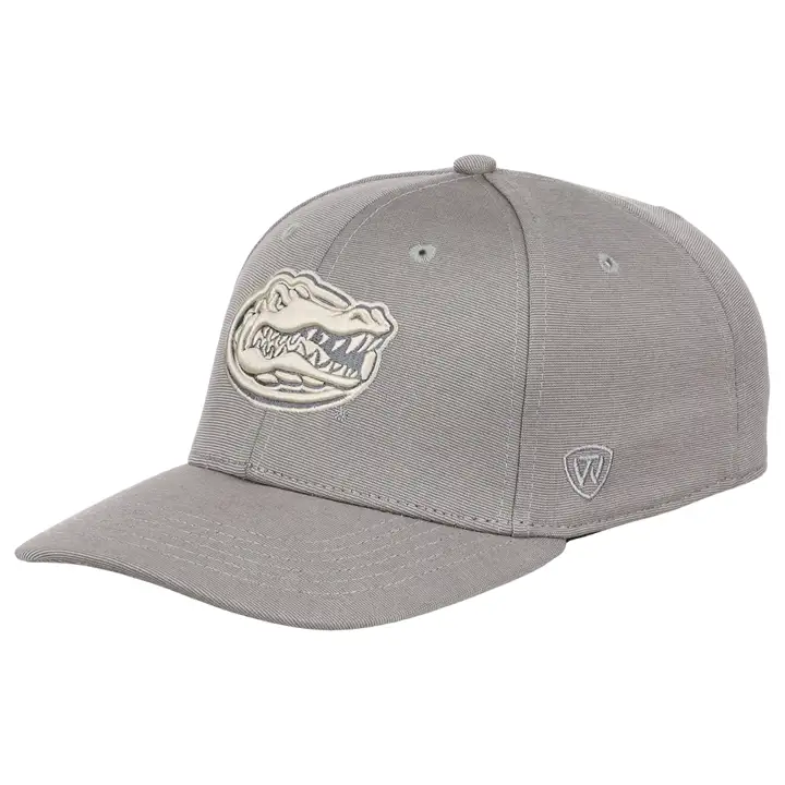 Florida Gators Légende NCAA Vintage Flex lgry/ivo