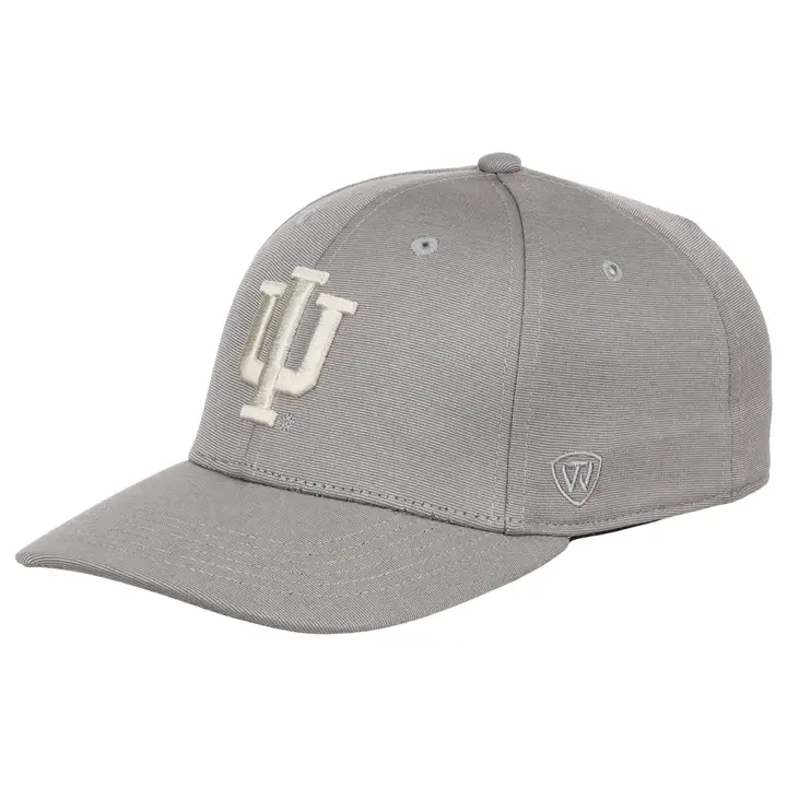 Indiana Hoosiers NCAA Légende Vintage Flex gric/ivo