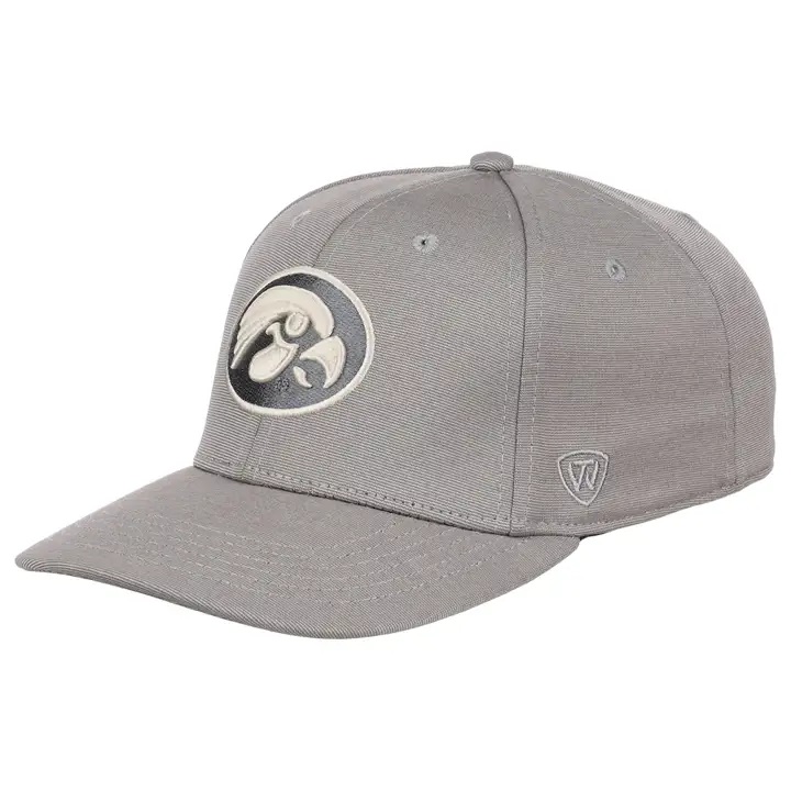 Iowa Hawkeyes NCAA Legend Vintage Flex lgry/ivo