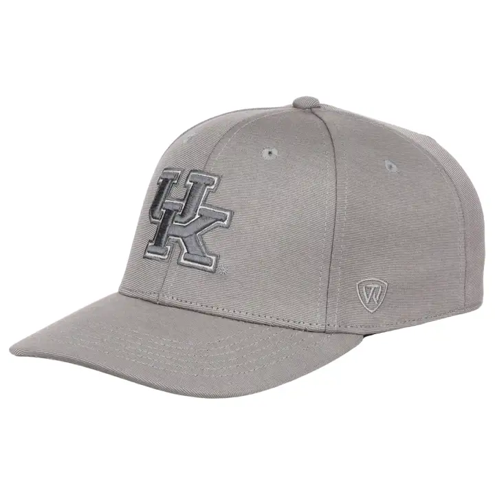 Kentucky Wildcats NCAA Legend Vintage Flex lgris/ivo