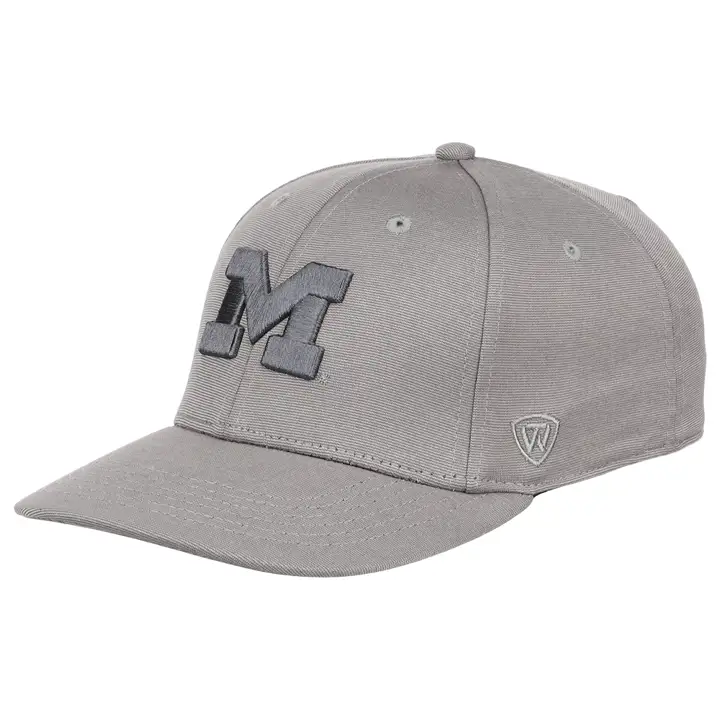 Michigan Wolverines NCAA Legend Vintage Flex gris clair/ivoire