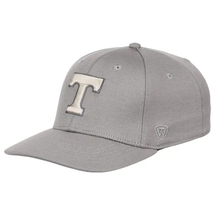 Tennessee Volunteers NCAA Legend Vintage Flex lgry/ivo