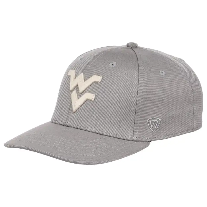 West Virginia Mountaineers NCAA Legend Vintage Flex gris clair/ivoire