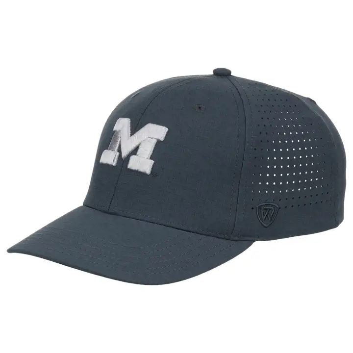 Michigan Wolverines NCAA Dark Reflective Flex noir/charbon de bois