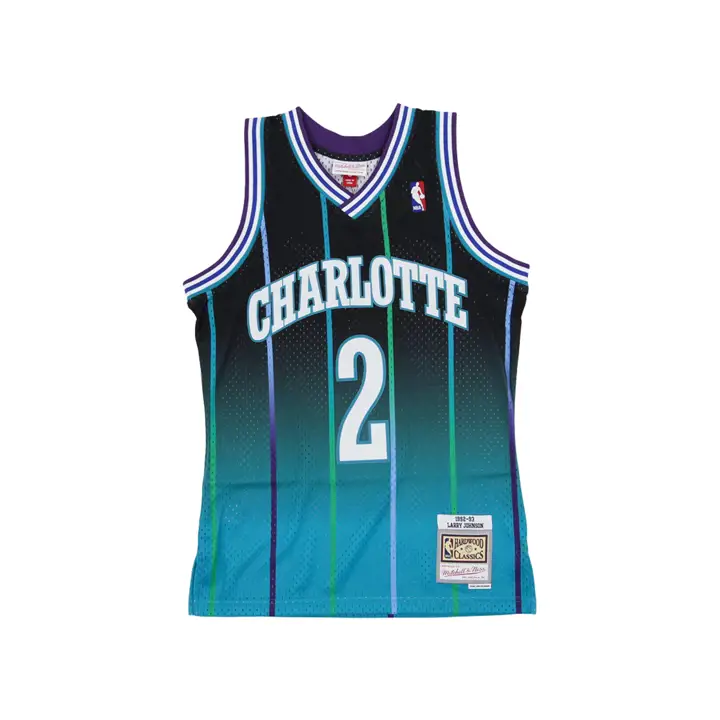 Maillot Charlotte Hornets NBA Fadeaway Swingman Larry Johnson