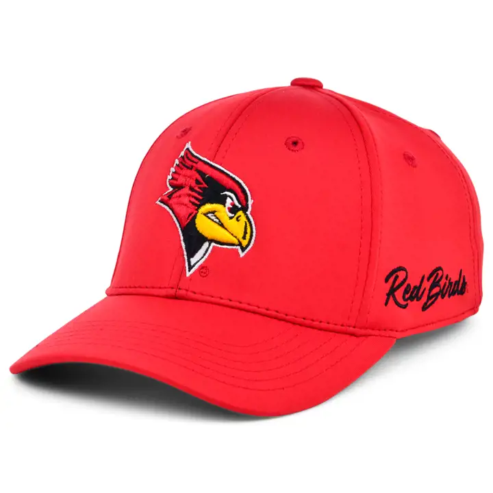 Phénomène Redbirds NCAA de l'Illinois
