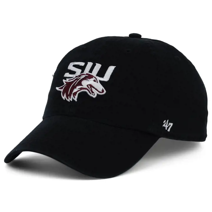 SOUTHERN ILLINOIS SALUKIS Nettoyage-NCAA blk