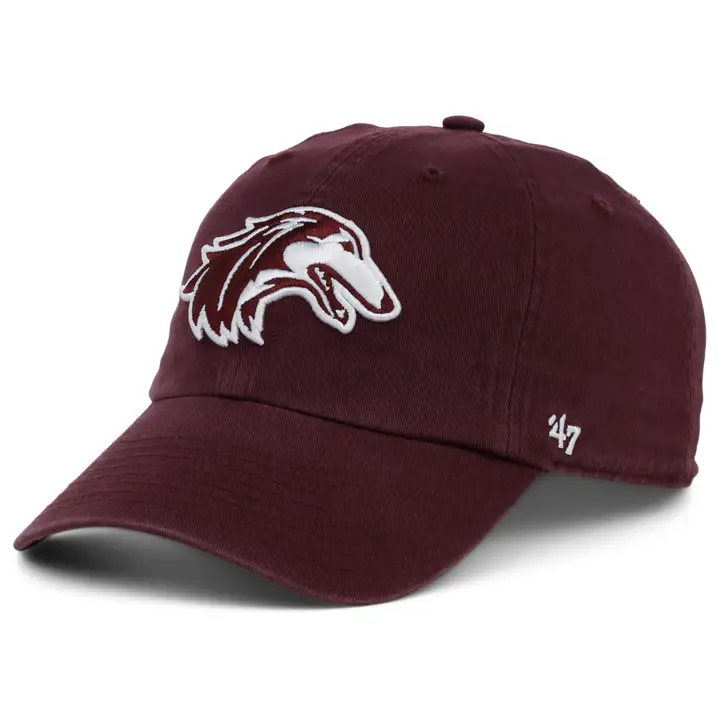 SALUKIS DU SOUTHERN ILLINOIS : GRAND NETTOYAGE – NCAA dkmar