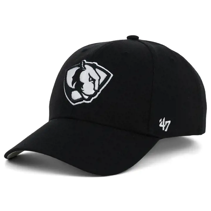 EASTERN ILLINOIS PANTHERS NCAA casquette '47 MVP noir/blanc