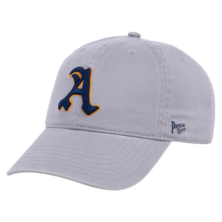 Casquette Papa Alpha Physical Culture Club Black Fives gris/gris/gris