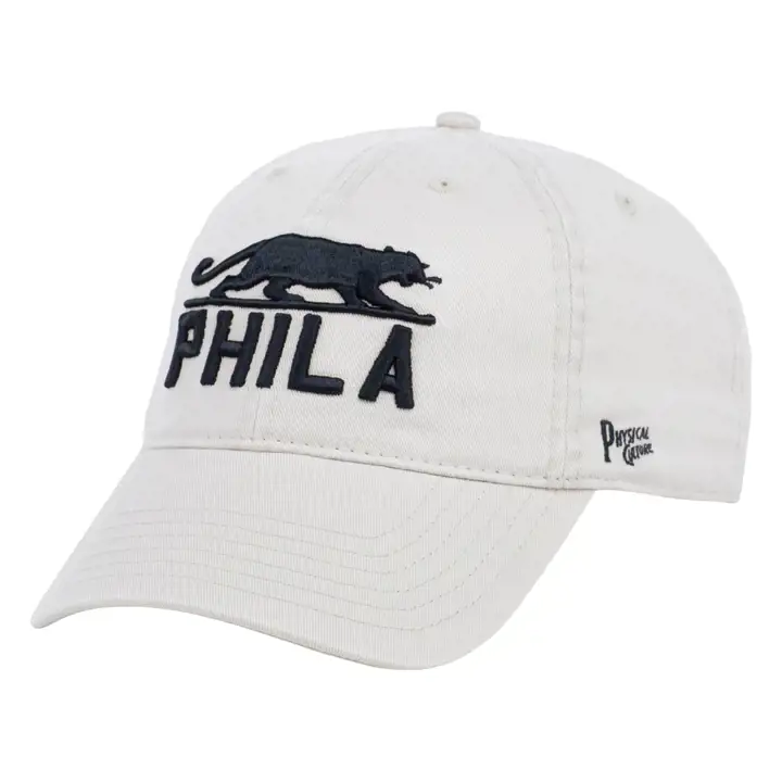 Casquette de papa Philadelphia Panthers Black Fives b/b/b