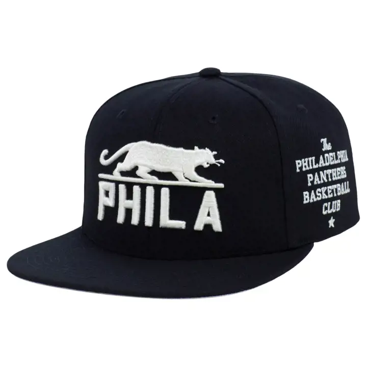 Casquette Philadelphia Panthers Black Fives City Arch Snapback noir/noir
