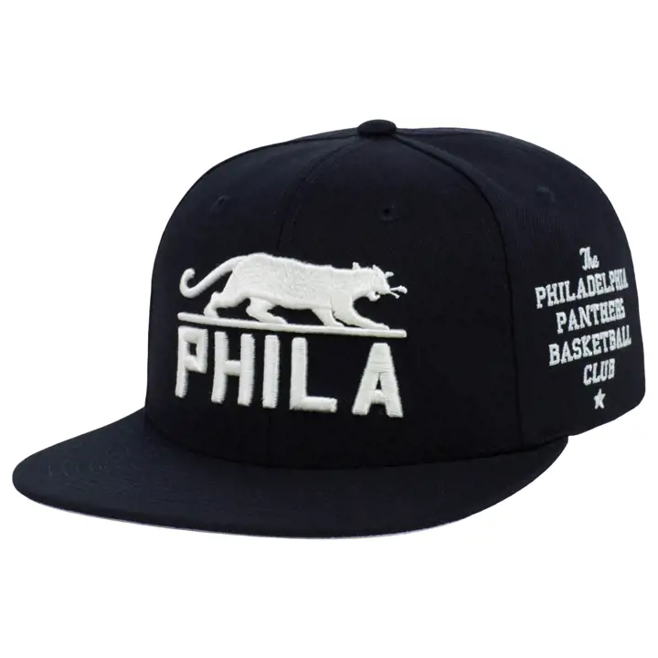 Casquette snapback Philadelphia Panthers Black Fives City Arch YTH noire