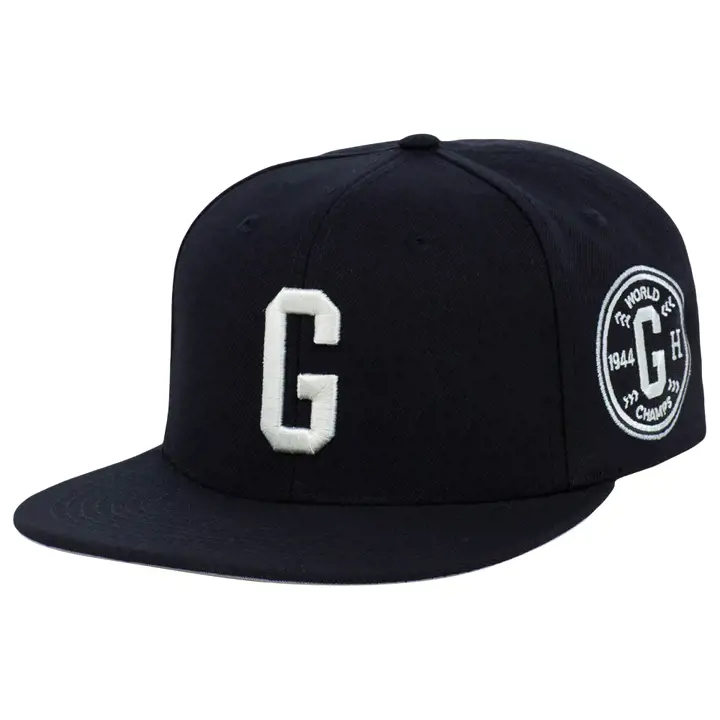 Casquette Snapback Homestead Grays NLB City Arch noir/noir/gris
