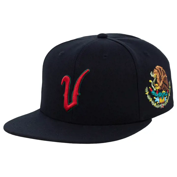 Casquette snapback Veracruz NLB City Arch noire/noire/verte