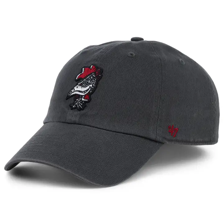 South Carolina Gamecocks Clean Up-NCAA anthracite