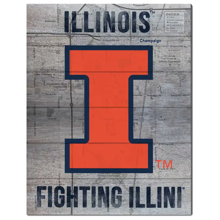 "Palettes murales décoratives 16x20 Illinois Fighting Illini « Road to Victory »"