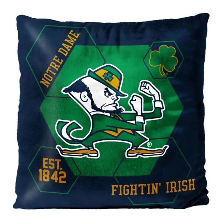 Coussin en velours Notre Dame 16x16 - Connecteur ast