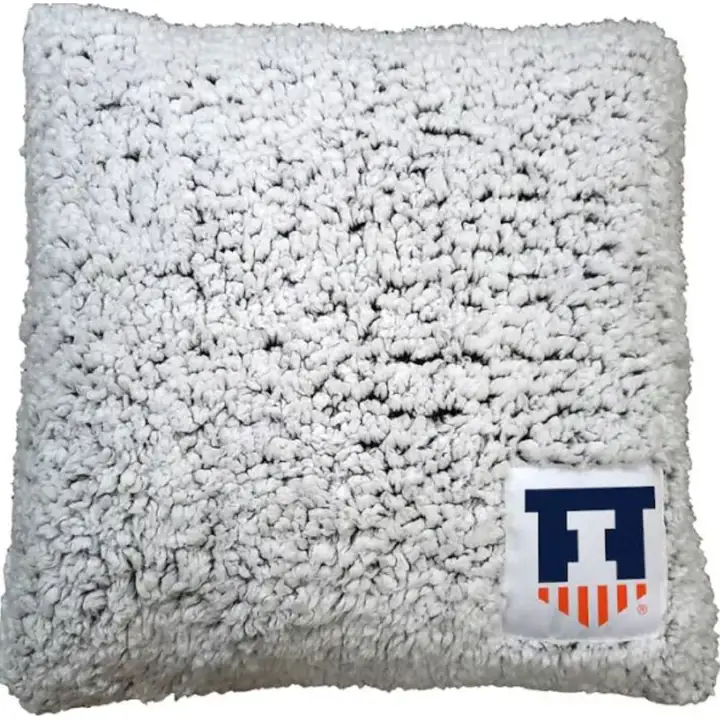 Coussin décoratif givré Illinois Fighting Illini AST