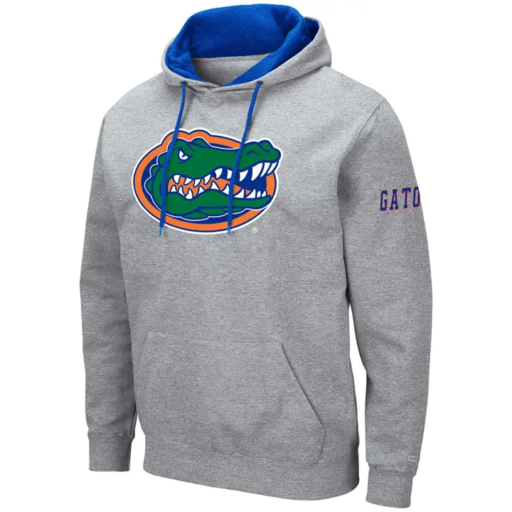 Sweat à capuche Florida Gators 2F NCAA Grand Logo gris clair