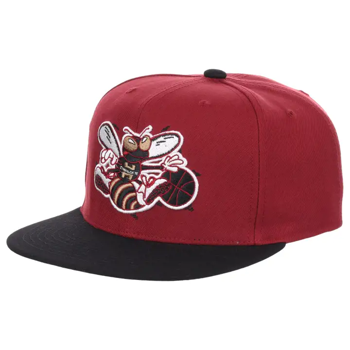 Charlotte Hornets NBA Free Bird Casquette snapback cred/noir/gris