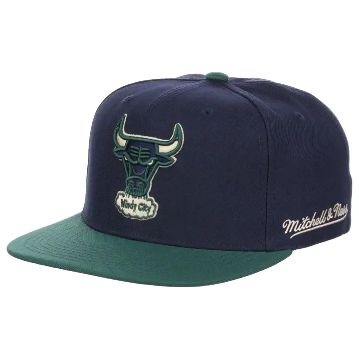 Casquette ajustée des Chicago Bulls NBA bleu/vert/beige