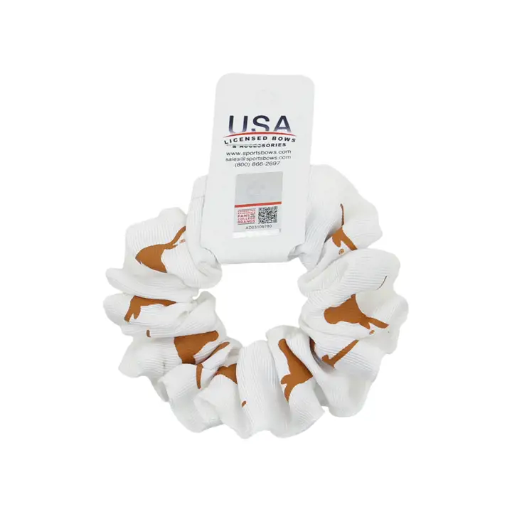 Poney couleur Texas Longhorns