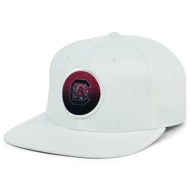 South Carolina Gamecocks NCAA Écusson cercle rayé Casquette ajustée blanc