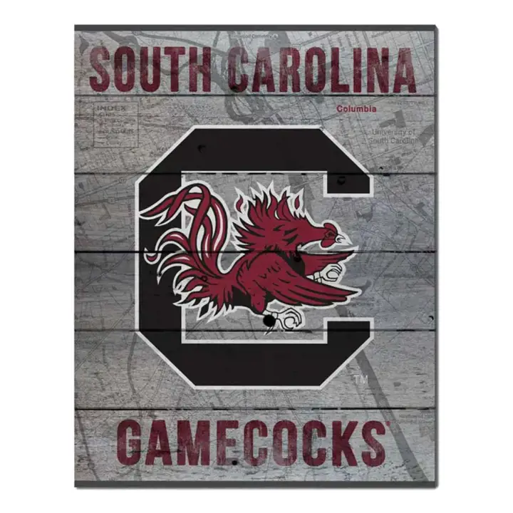 Tableau des sièges du stade des South Carolina Gamecocks 16x20 ast