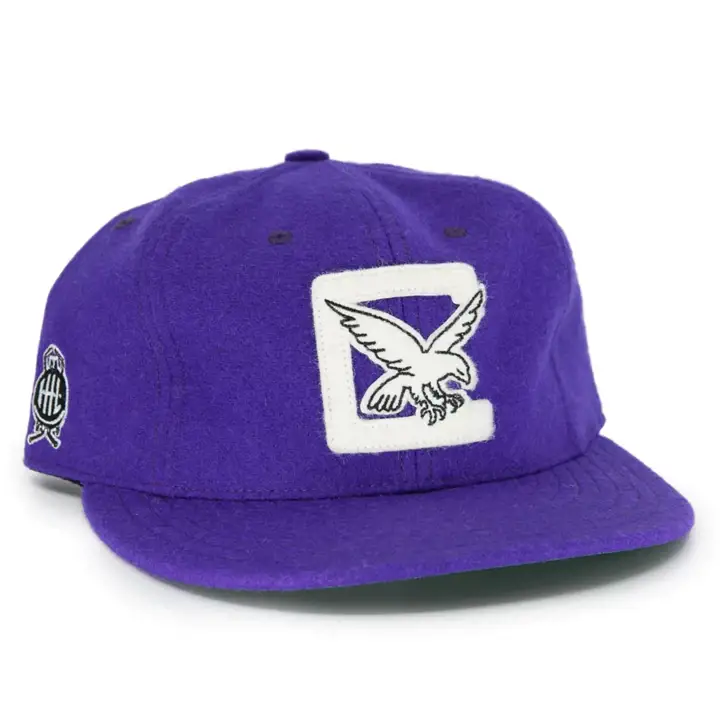 Casquette vintage Cleveland Falcons