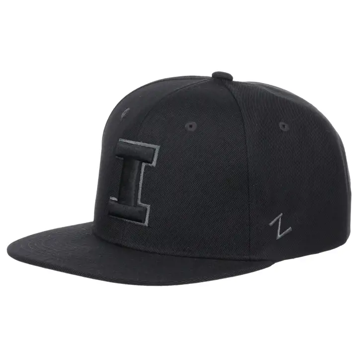 Casquette Illinois Fighting Illini NCAA BLK/GRY