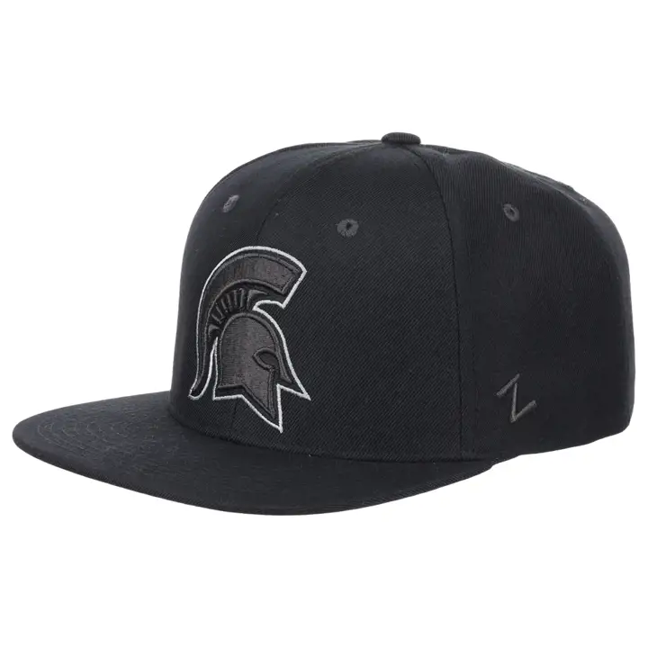 Casquette Michigan State Spartans NCAA Curfew Noire/Grise