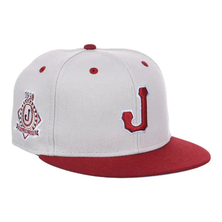 Casquette ajustée Jacksonville Red Caps NLB Storm Chasers gris/marron/bleu ciel