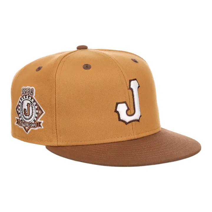 Casquette ajustée Jacksonville Red Caps NLB Sandbag beige/marron/gris