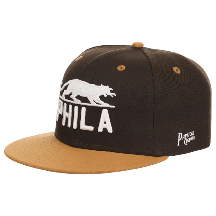 Philadelphia Panthers Black Fives Sandbag Fitted marron/rouge foncé/g