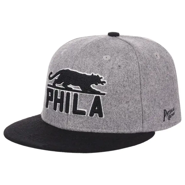 Casquette en laine ajustée Philadelphia Panthers Black Fives gry/n