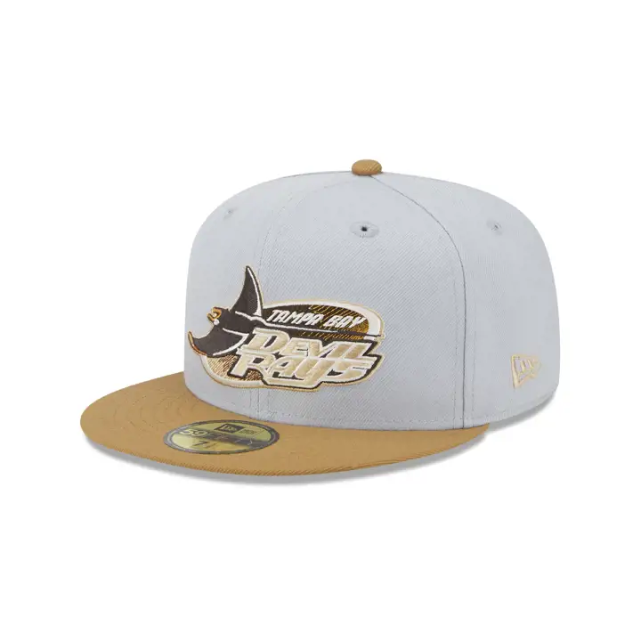 Tampa Bay Rays MLB Autumn Storm 59FIFTY GRY/WHE/IVO