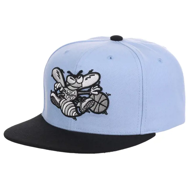 Charlotte Hornets NBA Casquette Snapback Noire et Bleue skbl/noir/gris