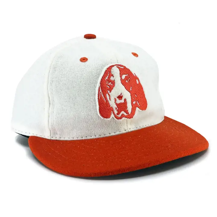 Casquette de baseball vintage mascotte de l'Université du Tennessee