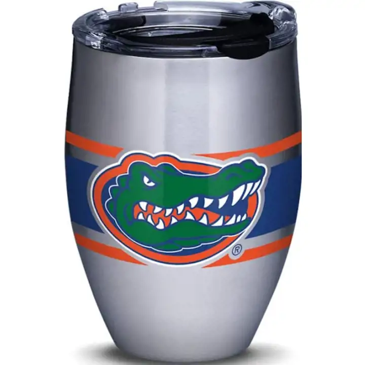 Florida Gators Bouteille isotherme rayée en acier inoxydable de 355 ml