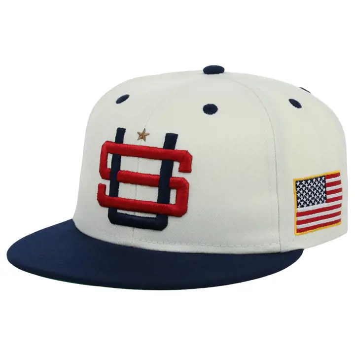 Casquette Snapback Logo Fierté Pays États-Unis d'Amérique argent/naturel