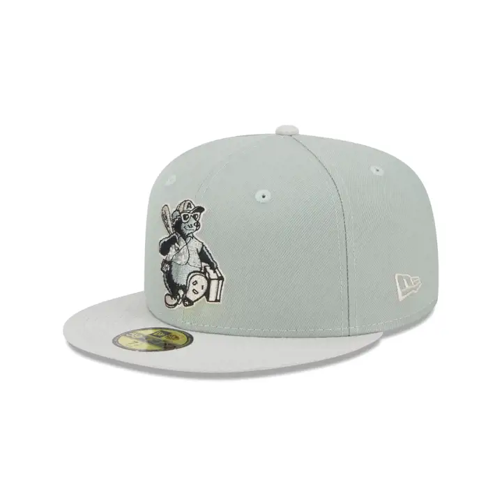 ASHEVILLE TOURISTS 5950 HOMETOWN ROOTS VGRN/GRIS