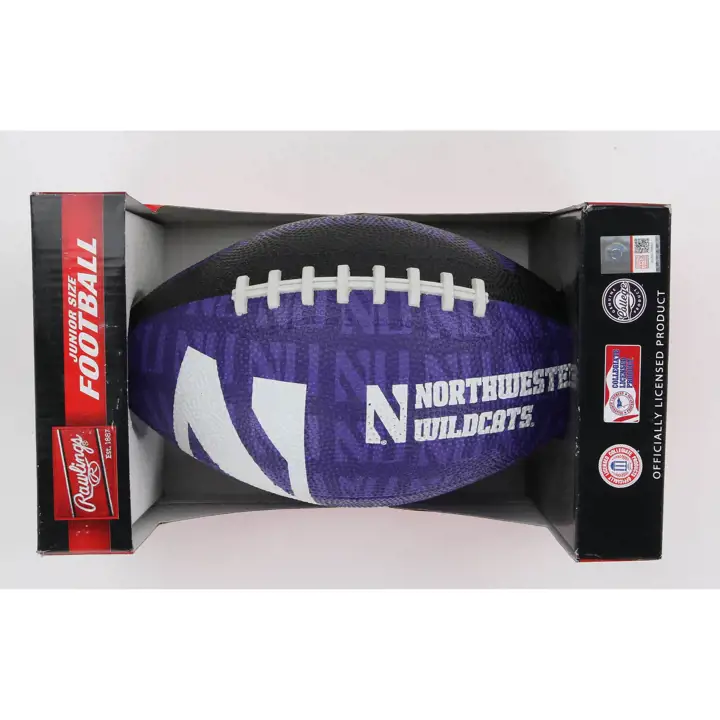 Northwestern Wildcats Gridiron Junior Football AST