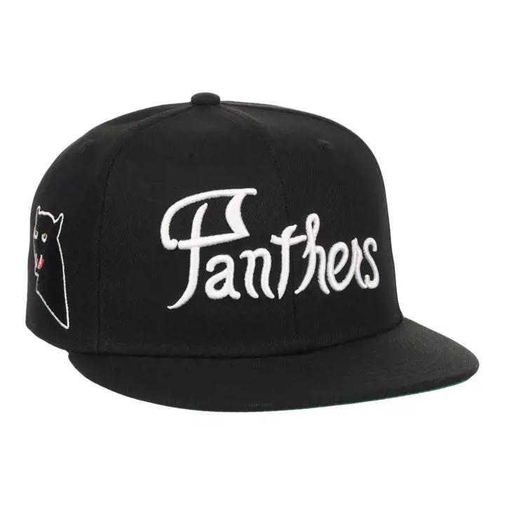 BlkPanther EFF NLB TC AJUSTÉ noir/noir/vert