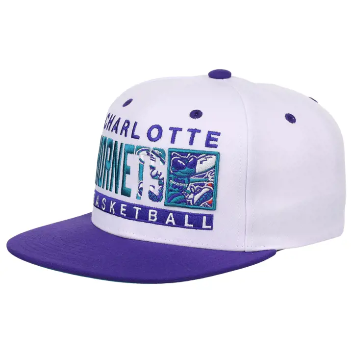 Charlotte Hornets NBA Box Out Casquette Snapback Équipe b/bl/v
