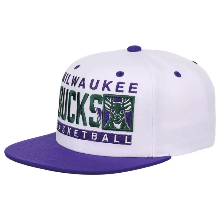 Casquette Snapback Milwaukee Bucks NBA Box Out Équipe bla/ vio/ ver